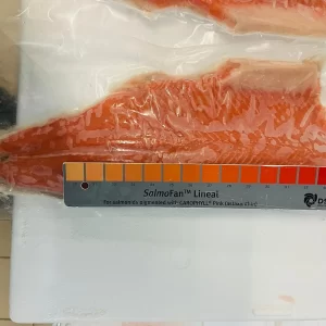 color ruler on top pf packaged rainbow trout