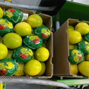 two box of lemon