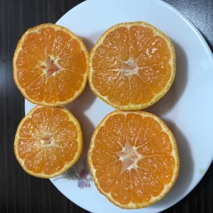 cut orange on the plate