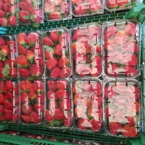 packaged strawberries